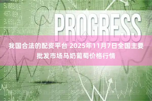 我国合法的配资平台 2025年11月7日全国主要批发市场马奶葡萄价格行情