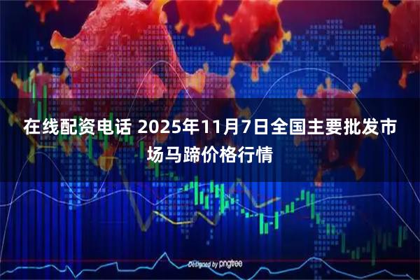 在线配资电话 2025年11月7日全国主要批发市场马蹄价格行情