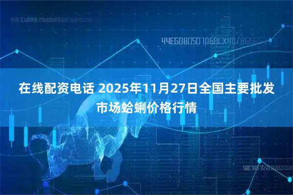 在线配资电话 2025年11月27日全国主要批发市场蛤蜊价格行情